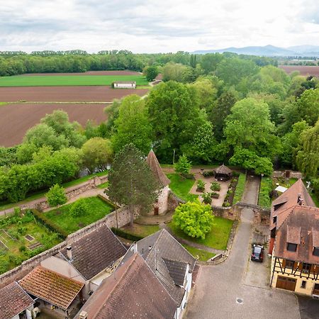 La Ruine - Gite D'Alsace Jusqu'A 10 Personnes Avec Spa Interieur Guémar Extérieur photo