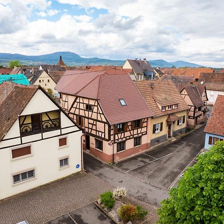 La Ruine - Gite D'Alsace Jusqu'A 10 Personnes Avec Spa Interieur Guémar Extérieur photo