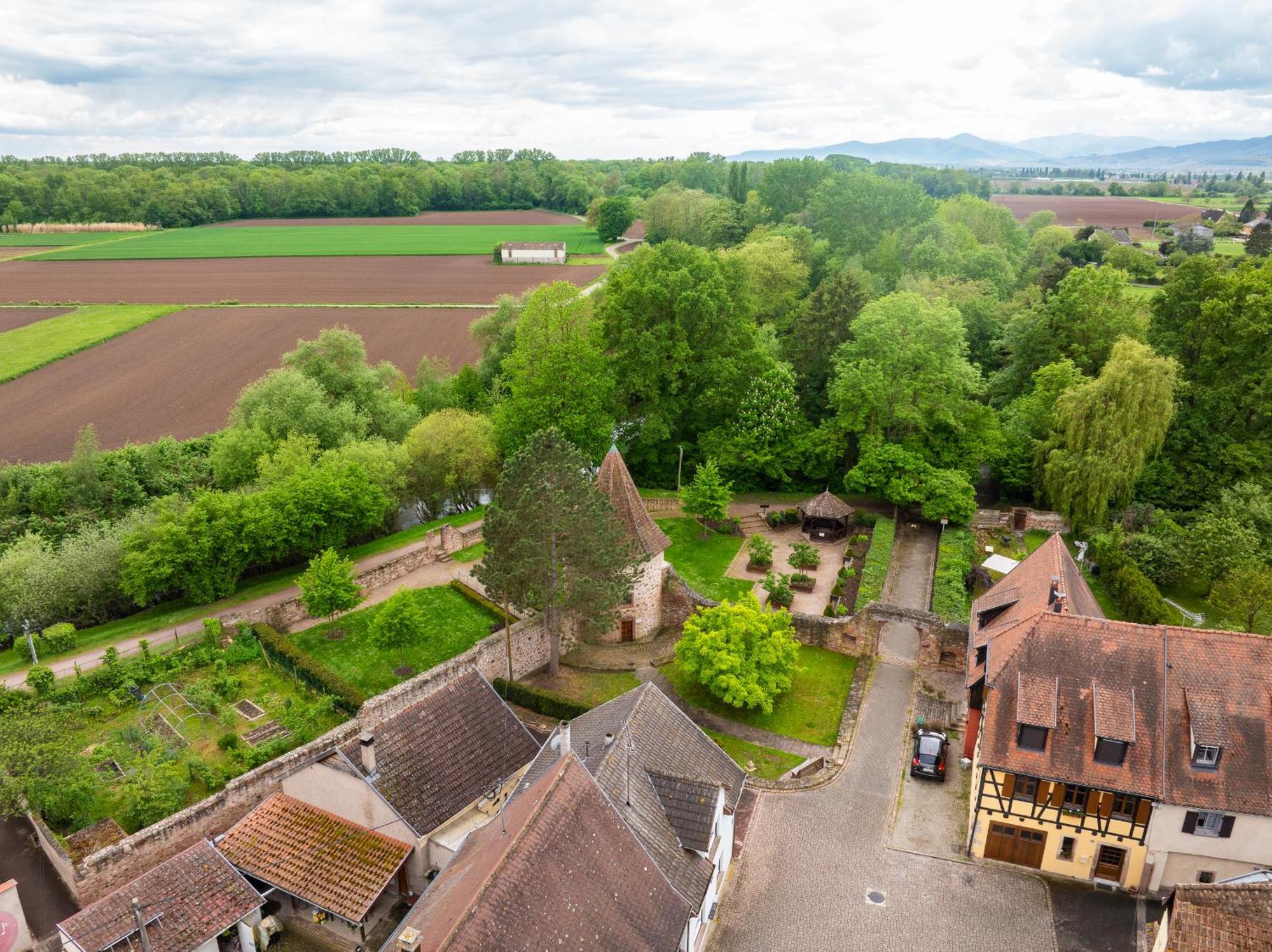 La Ruine - Gite D'Alsace Jusqu'A 10 Personnes Avec Spa Interieur Guémar Extérieur photo