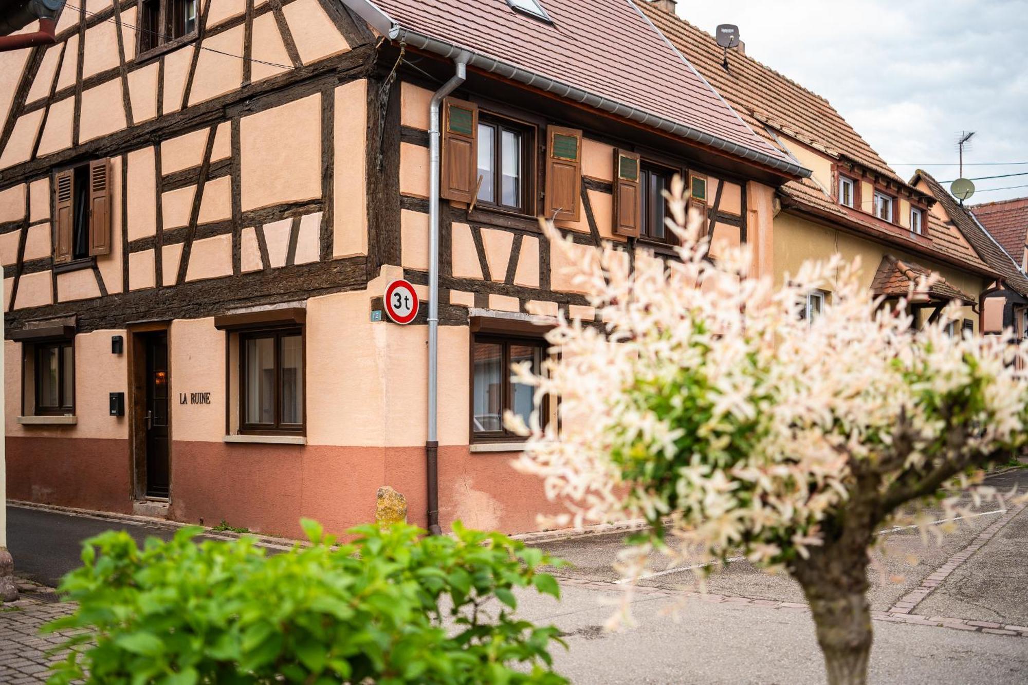 La Ruine - Gite D'Alsace Jusqu'A 10 Personnes Avec Spa Interieur Guémar Extérieur photo